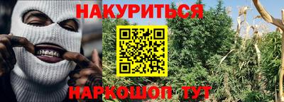 стаф Донецк