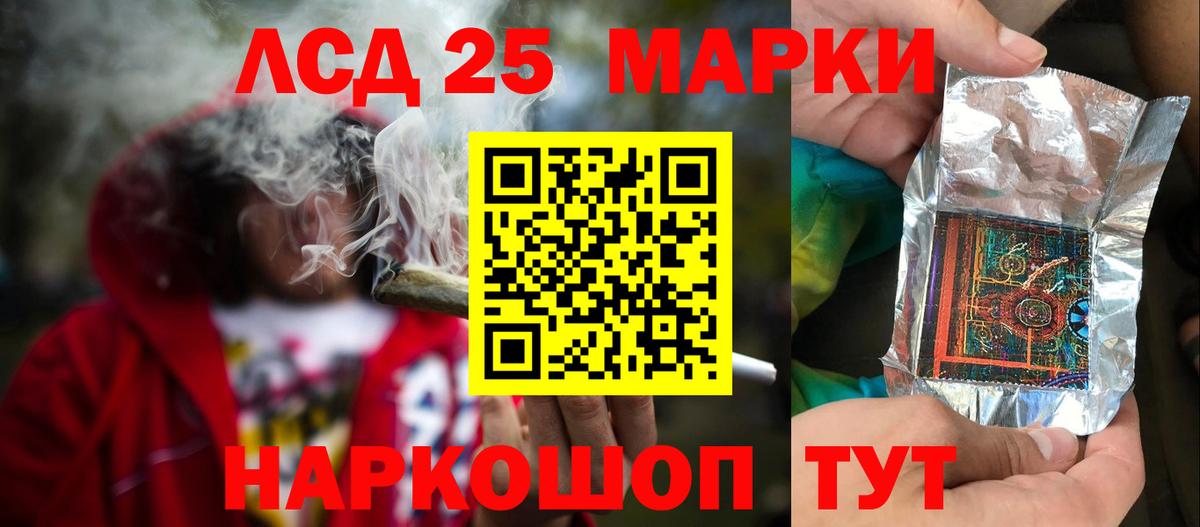 LSD-25 экстази  Вход с VPN  Новоалександровск  ЛСД экстази кислота  LSD-25 экстази кислота 