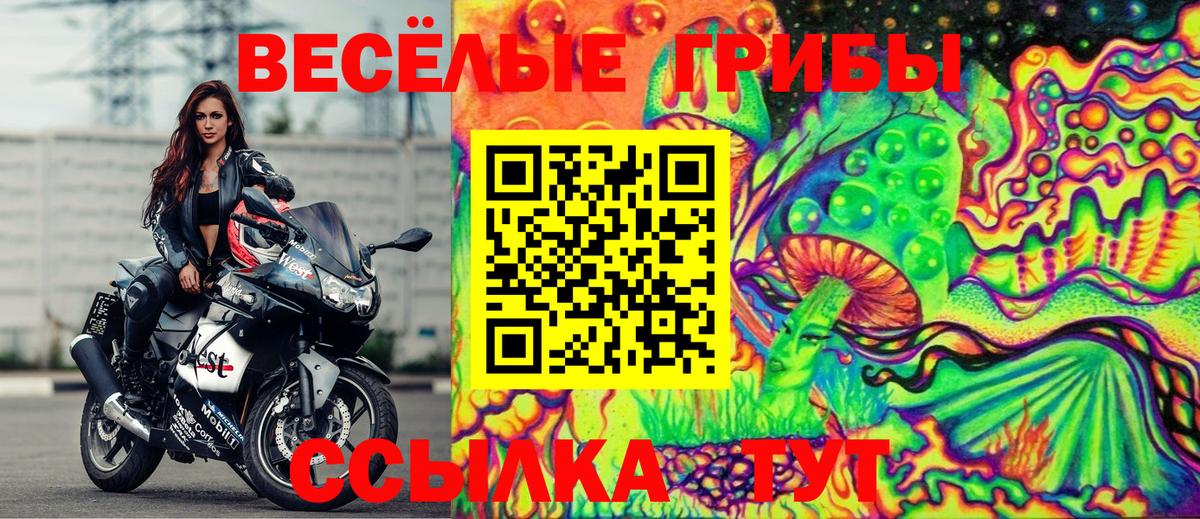 Псилоцибиновые грибы Magic Shrooms Новоалександровск