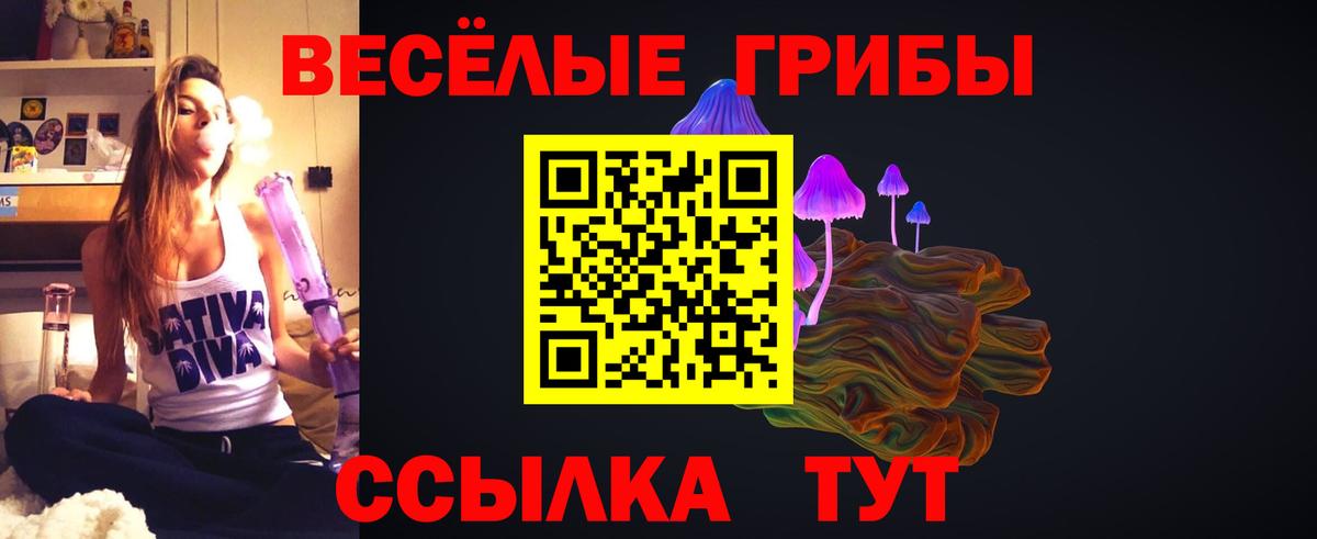купить закладку  Псилоцибиновые грибы Psilocybe  Псилоцибиновые грибы мухоморы  Вход с VPN  Новоалександровск 